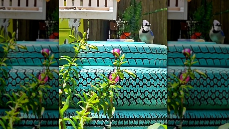 The tread pattern adds visual interest to a charming birdbath made from old tires.