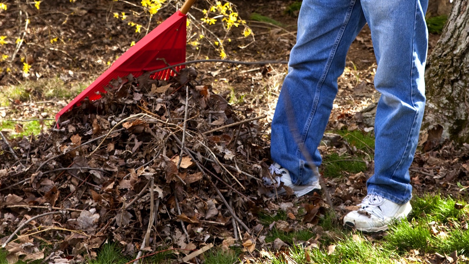 Compost Making Image Turn Yard Scraps Into DIY Mulch And Compost With A Solution From Harbor ...
