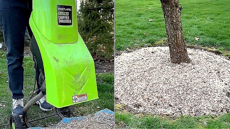 Split image of the Chipper Shredder shredding yard materials, and the shredded leaves and twigs used as mulch around a tree