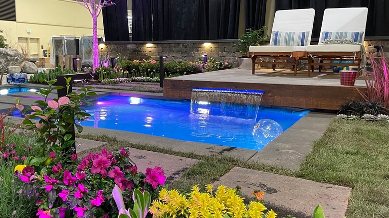 mini pool surrounded by plants