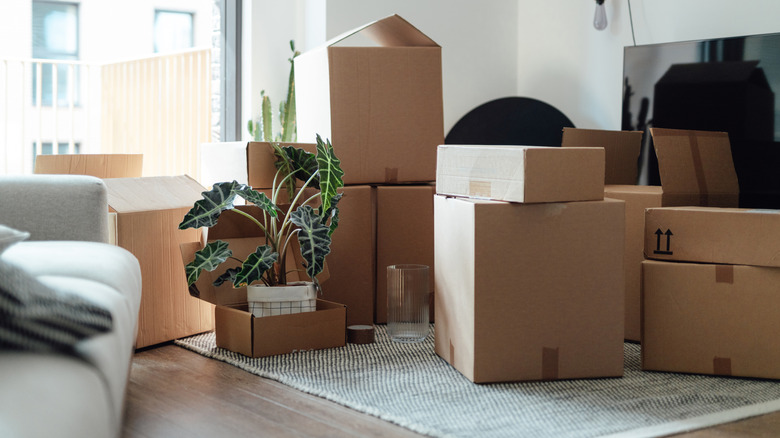 Pile of cardboard boxes in living room
