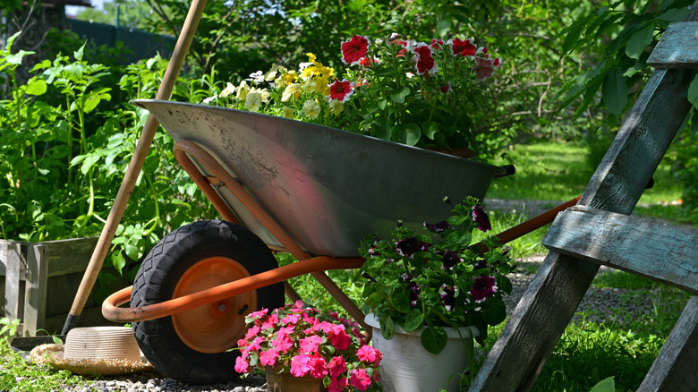 Garden with flowers in a wheelbarrow