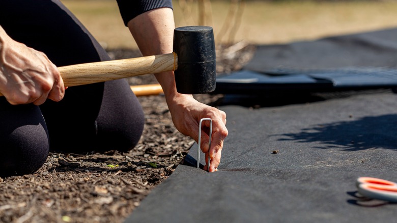 Person kneeling and hammering a spike into the ground with a mallet