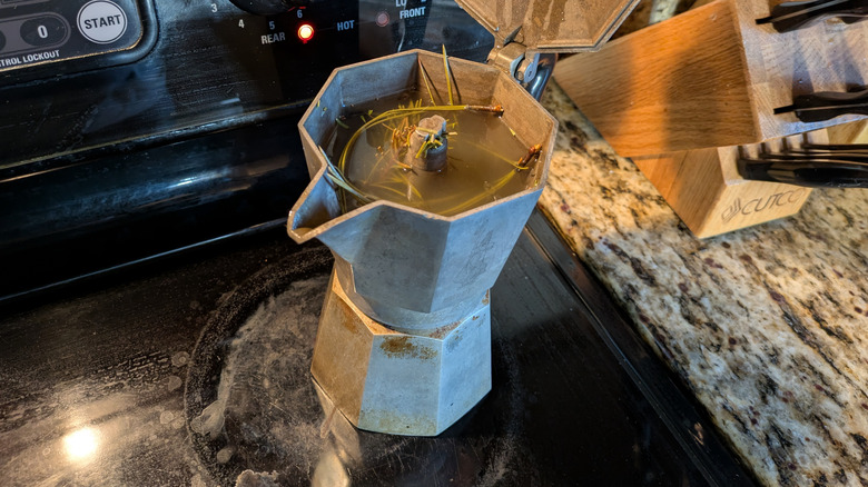 An open moka pot filled with evergreen cuttings sits on a stove.
