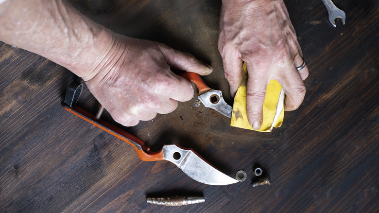 person disassembling and cleaning rusty pruning shears