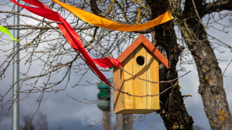 Bird feeder with ribbons tied around it