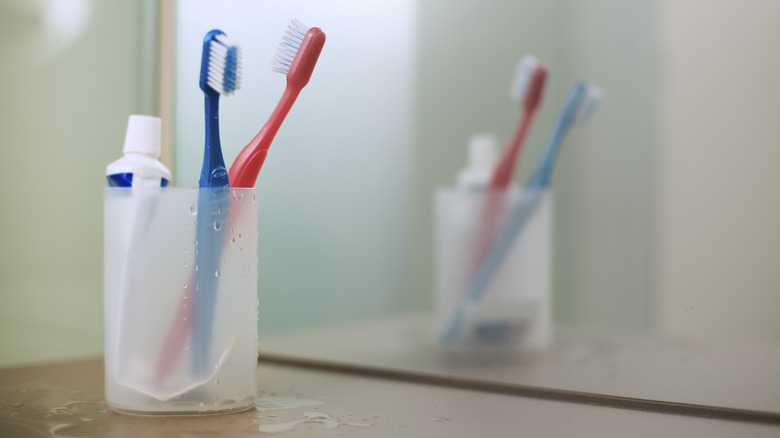 Two toothbrushes inside a cup