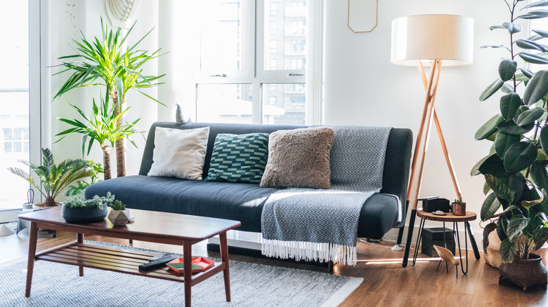 blue futon couch in living room