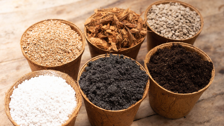 Six pots are each filled with different potting mix ingredients