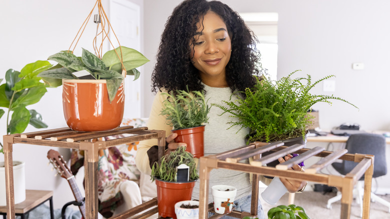 A woman is adding new plants to her indoor collection of houseplants