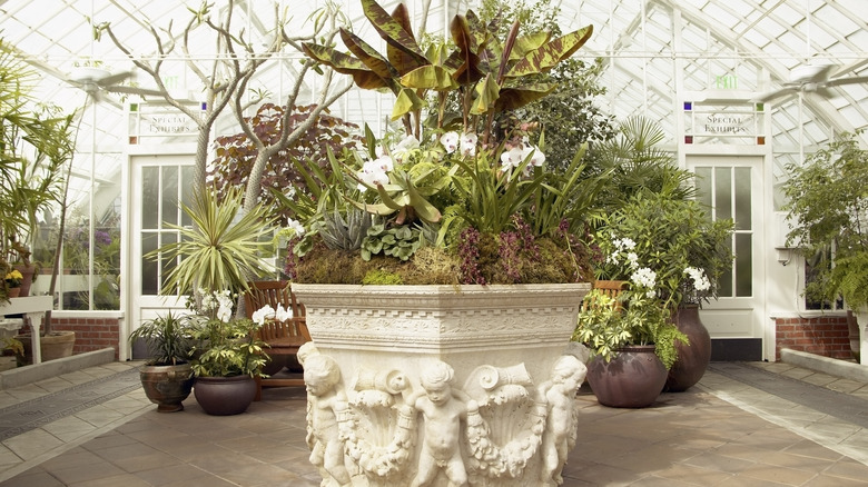 attached greenhouse with plants