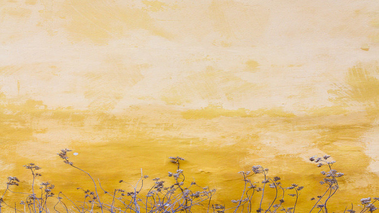 Limewash wall