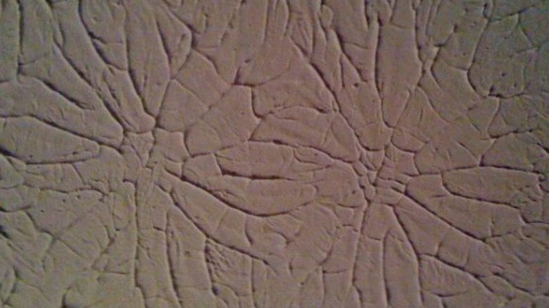 Rosebud wall