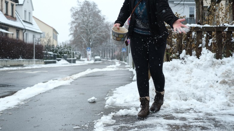 A person spreading winter salt on a sidewalk