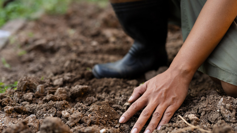 Gardener inspecting empty soil with hand