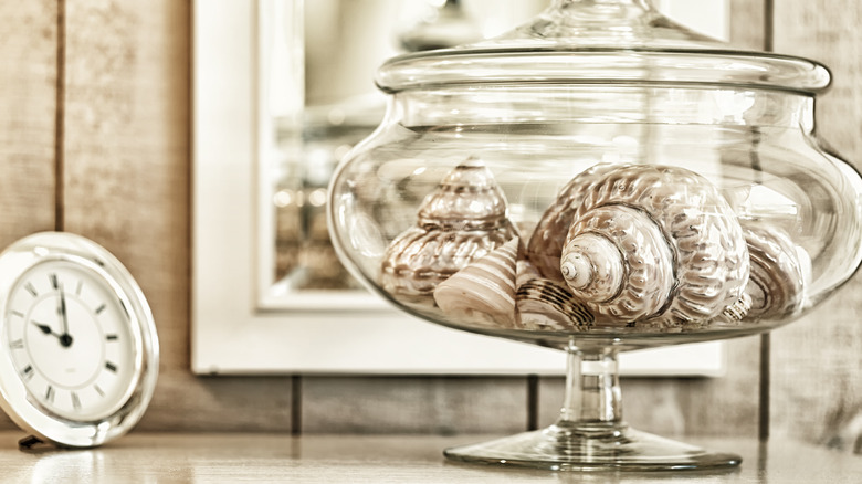 shells in glass jar