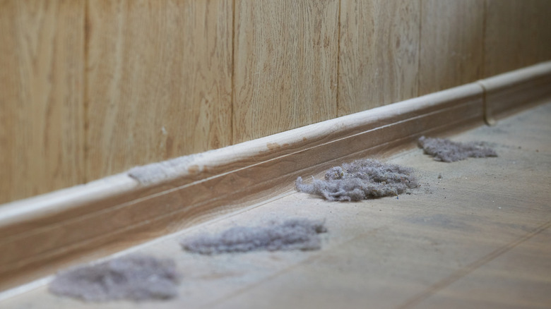 A dirty floor next to a baseboard where furniture has been moved away