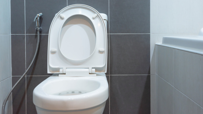 Toilet with high water level in bowl in bathroom.