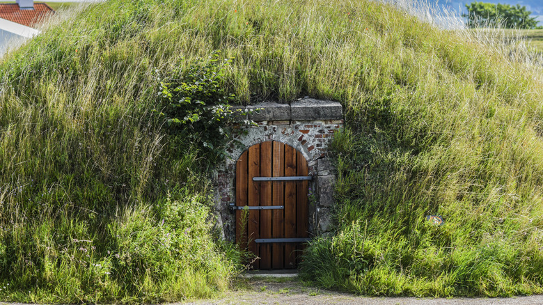 Doorway to an underground house