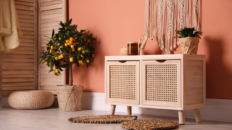 Peach room with a citrus tree and cream-colored furniture