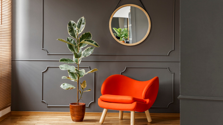 View of plant and chair 