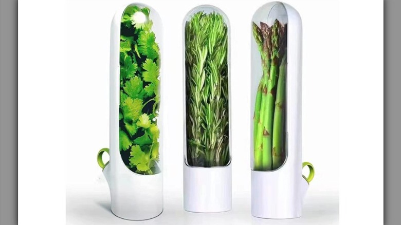 white and green herb containers
