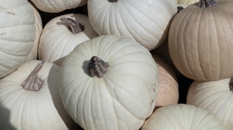 Casper pumpkins piled together