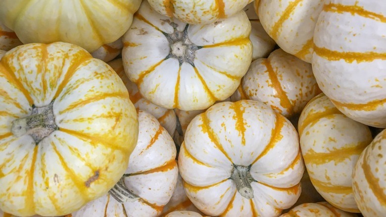 'Lil Pump-Ke-Mon' pumpkins with orange stripes on white flesh