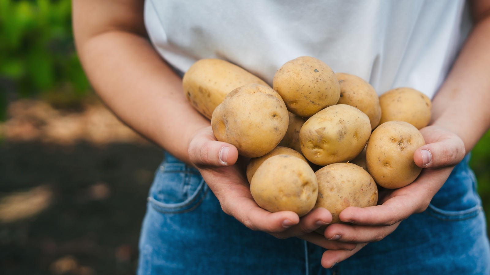 Unusual Potato Hacks You Should Be Using In Your Home