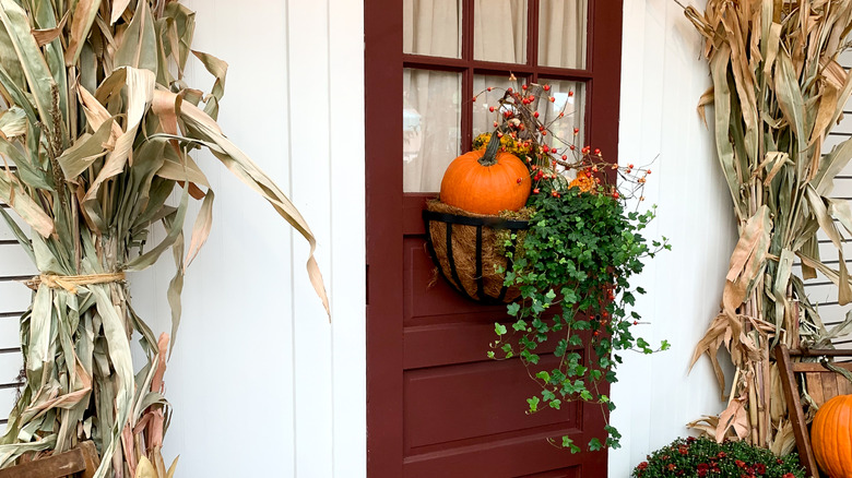 A dark red front door on a white house is decorated with a black metal hanging planter filled with a pumpkin, orange berries, and ivy, with dried corn stalks on each side of the doorway.