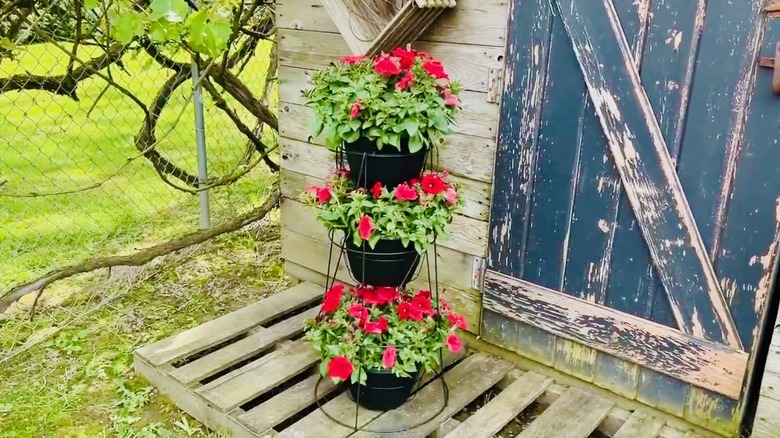 A three-tiered planter made from two tomato cages
