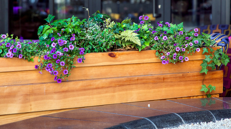 wooden planter box filled with flowers