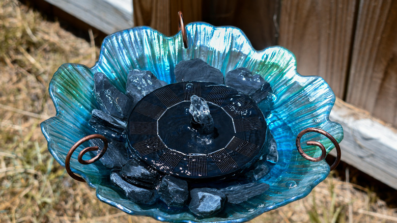 A solar-powered floating fountain placed in a small blue bird bath.