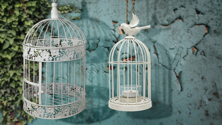 UpCycle Cage