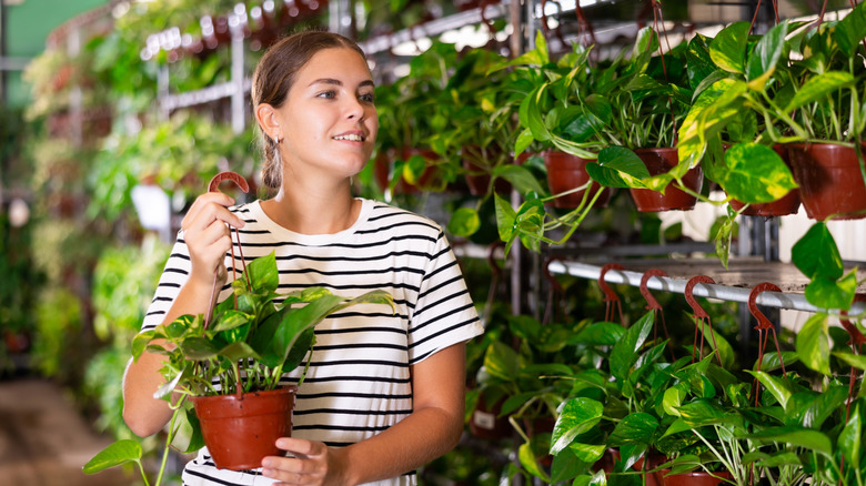 A woman in a striped top holds a houseplant in a hanging pot in a nursery.
