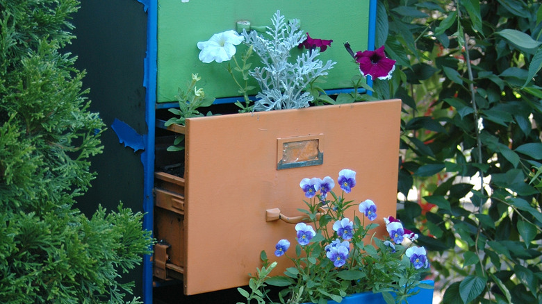 Flowers growing in metal drawer