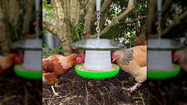 final look of pot lid for DIY feeder design