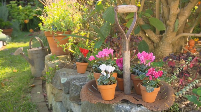 A DIY potted plant transporter made using an old shovel handle and tractor seat sits on the edge of a raised garden bed.