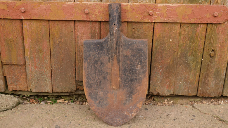 Old metal shovel leaning against a garden fence