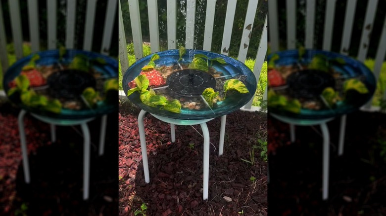 DIY bird bath made using old stool and bowl