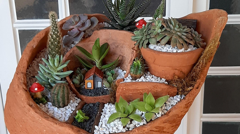 succulent garden made from broken planters