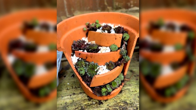 waterfall planter for succulents made from broken terracotta planter