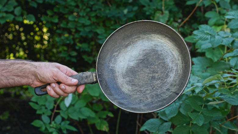 A person's hand holding an old frying pan in front of dense foliage