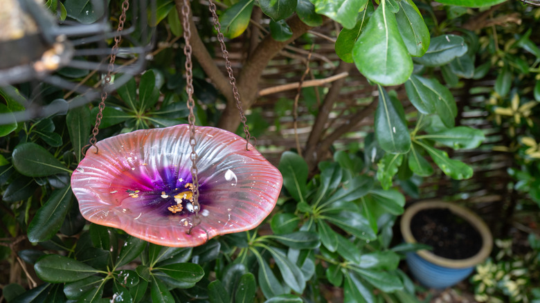 A glass ceiling light fixture hangs from three chains underneath a tree and is filled with bird seed.