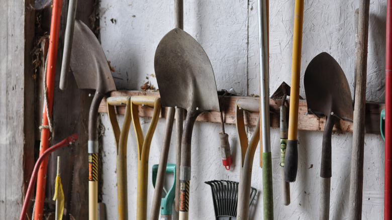 set of old garden shovels against wall