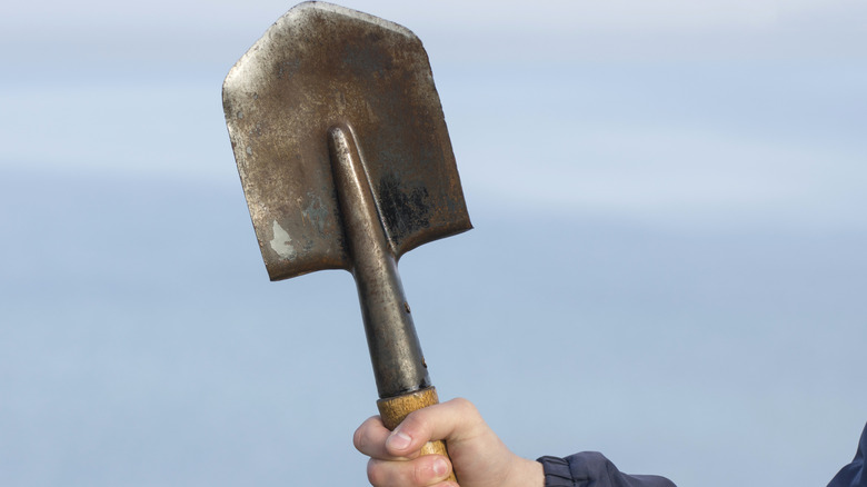 Hand holding old shovel against sky background