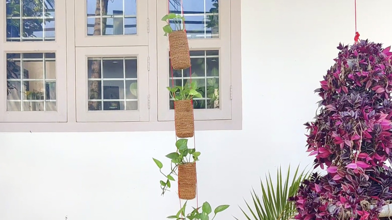 A planter chain made out of upcycled plastic bottles hangs outside the window of a house.