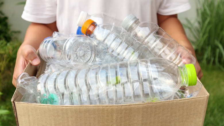 A person holds a box with lots of clean, empty plastic bottles in it.