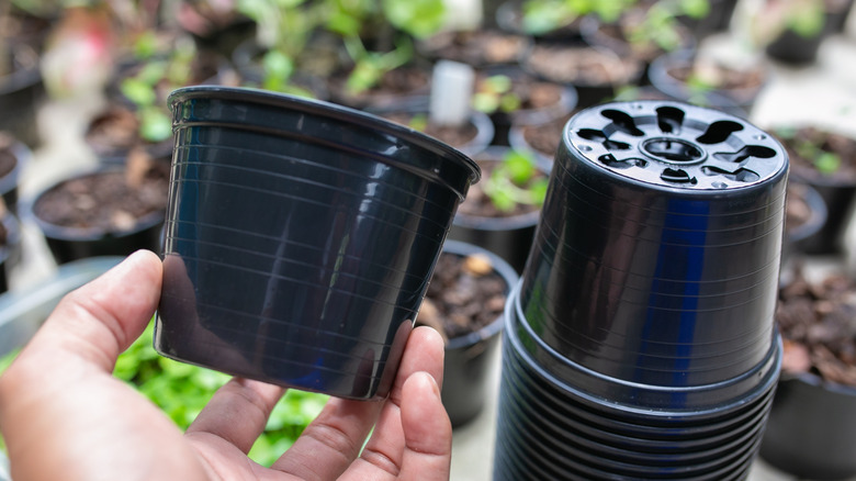 Hand holding a plastic mini pot next to a stack of extra plastic pots.