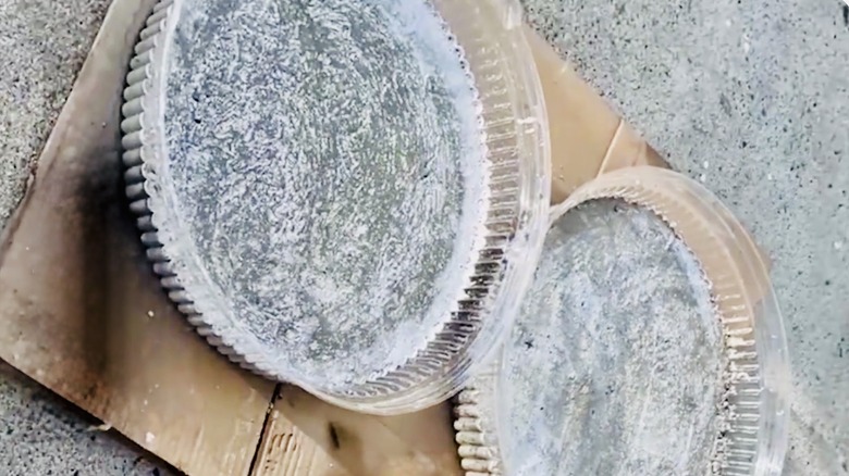 Concrete that has set after being poured into plastic platter lids.